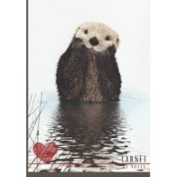 Carnet de notes loutre