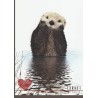 Carnet de notes loutre